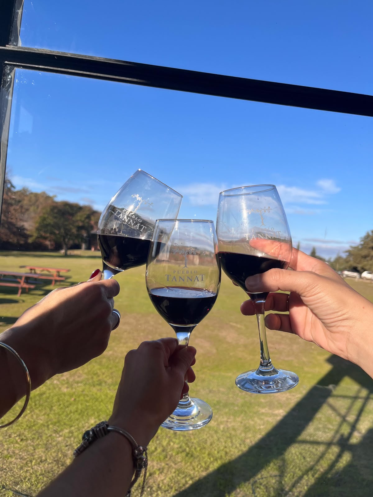 Copas de vino en un brindis