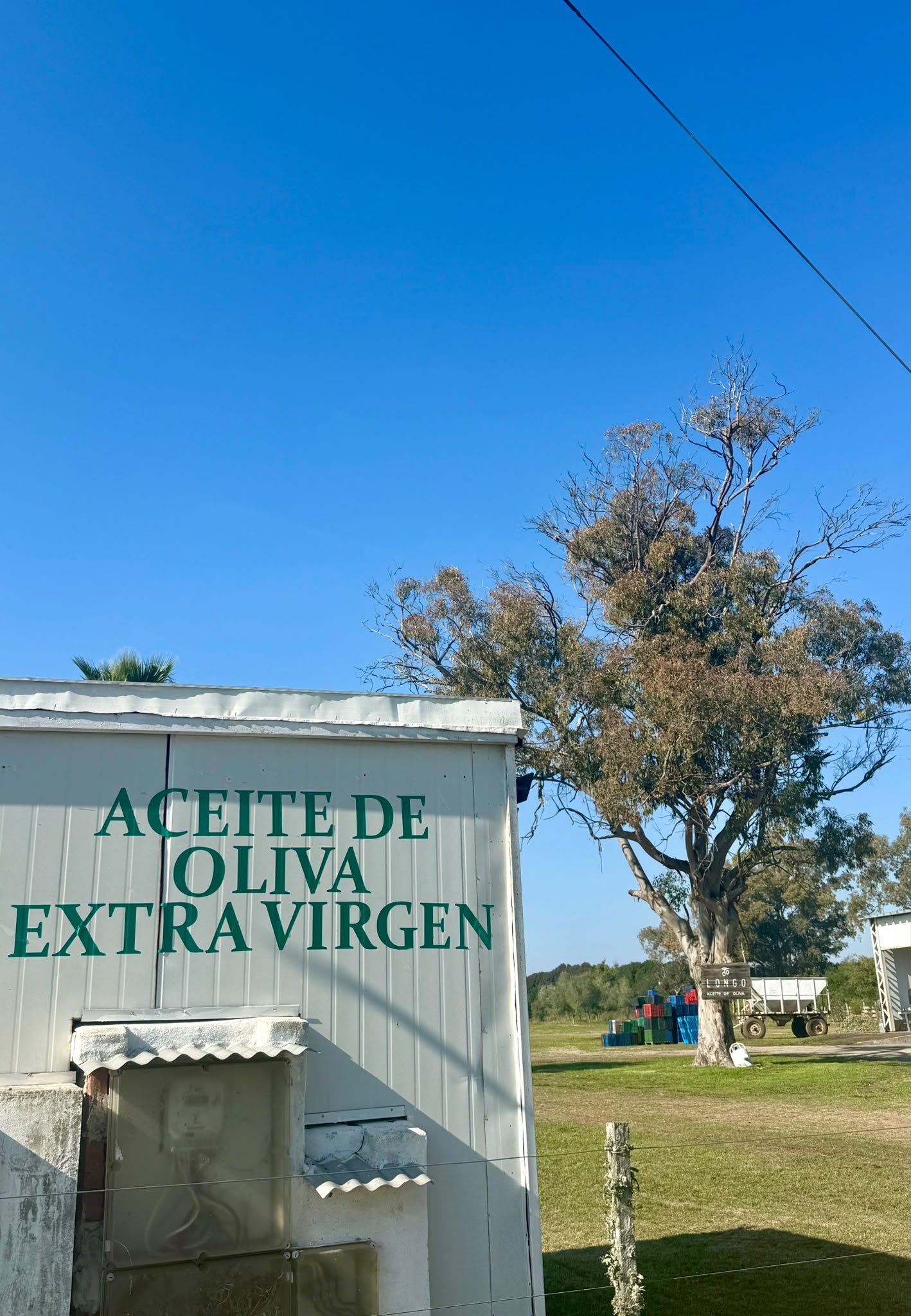 Cartel de aceite de oliva en el predio