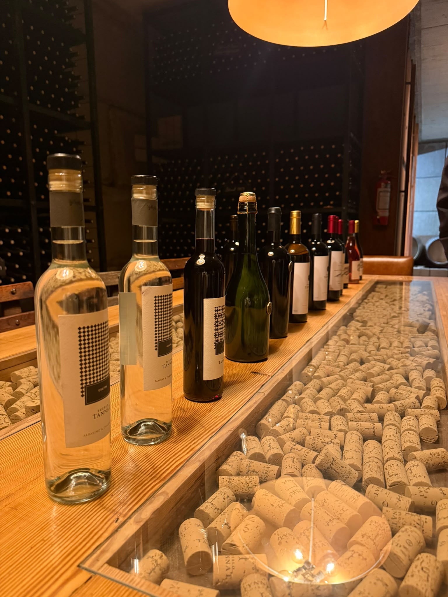 Botellas listas para degustación