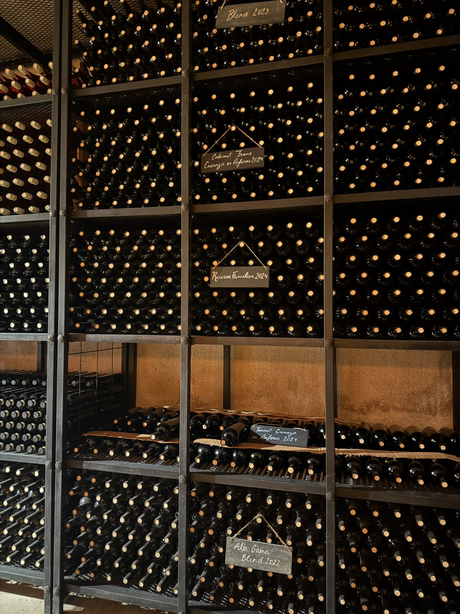 Estanterías con botellas en cava