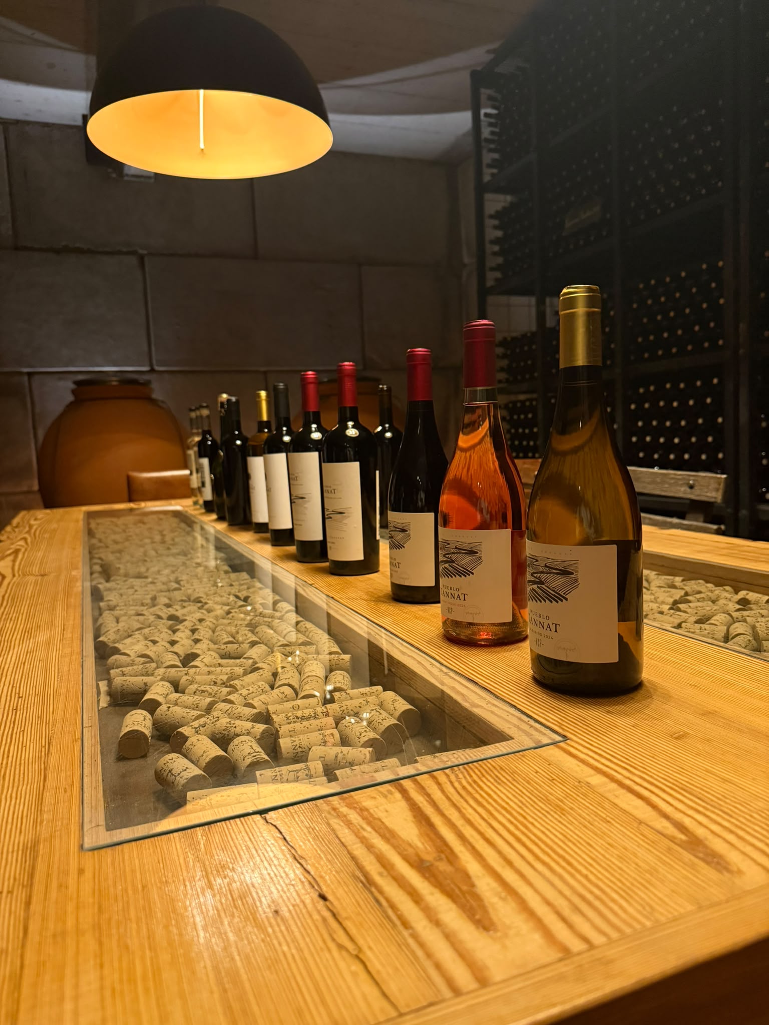 Línea de botellas sobre mesa de degustación