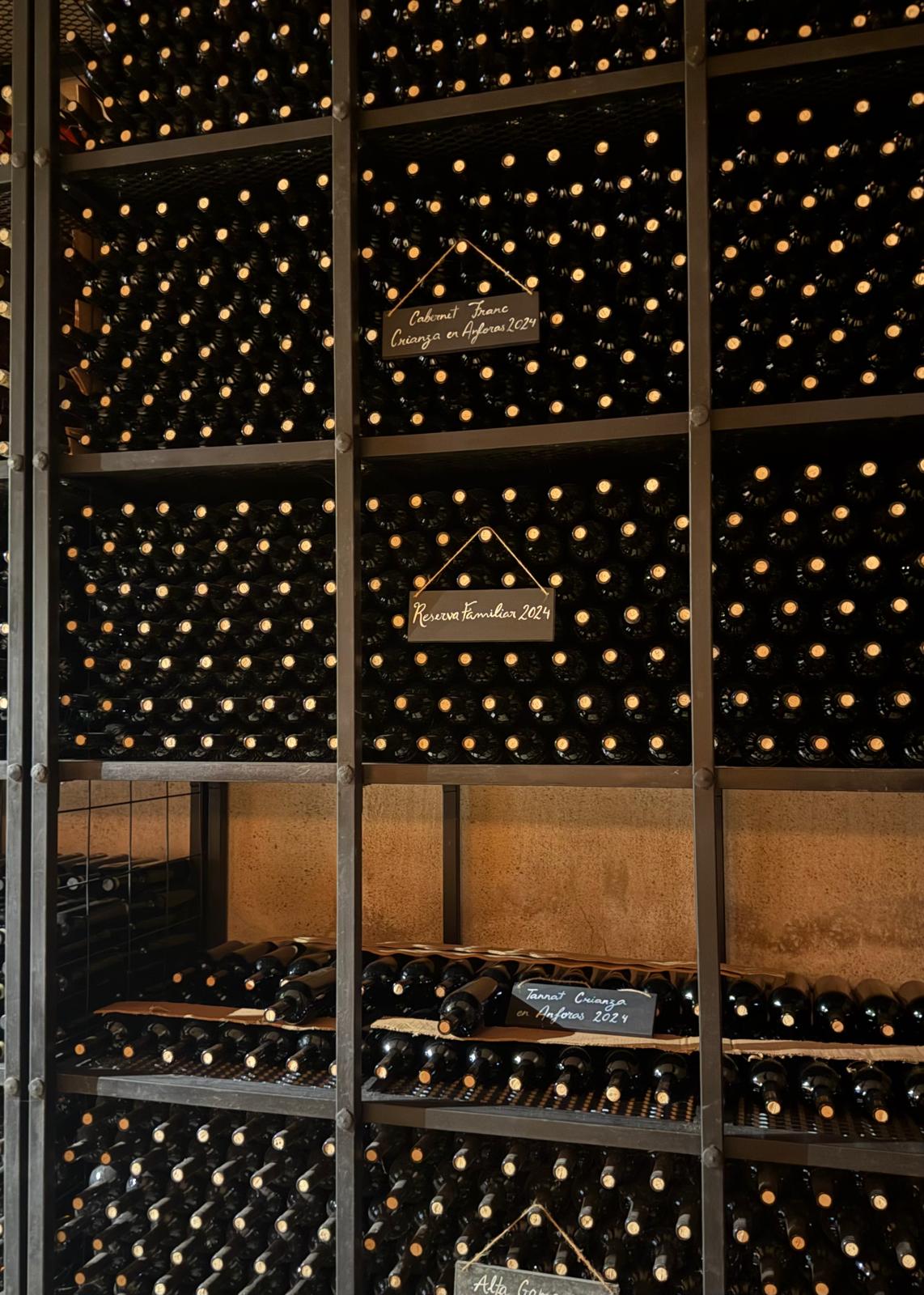 Estanterias de cava con botellas en Pueblo Tannat