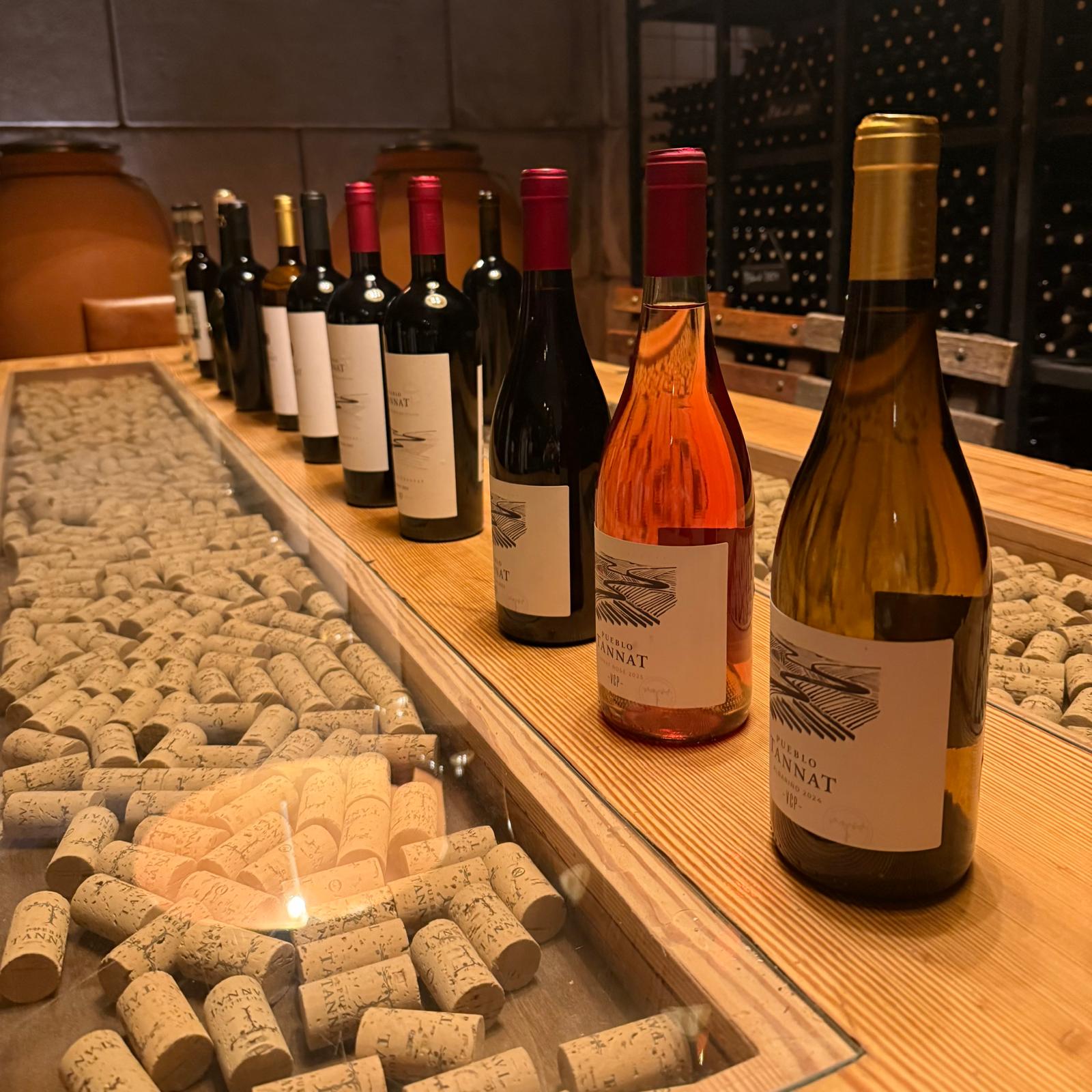 Botellas sobre mesa de degustacion en Pueblo Tannat